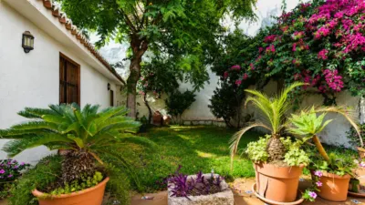 House on Carrer de Sant Pere photo 23