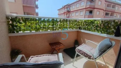 Apartment in Algorfa photo 27
