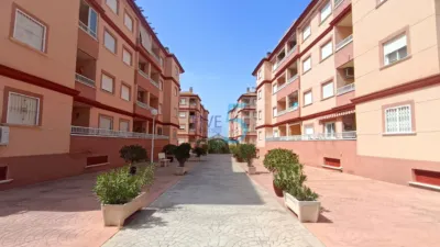 Apartment in Algorfa photo 7