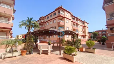 Apartment in Algorfa photo 8