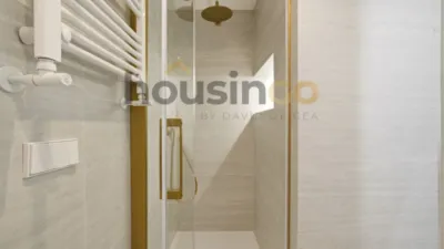 Flat in Plaza de Mariano de Cavia photo 29