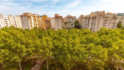 Apartment on Ps Rosa Dels Vents Street, No. 57 photo 24