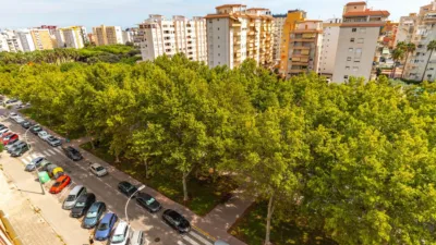 Apartment on Ps Rosa Dels Vents Street, No. 57 photo 25