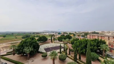 Pis – Almoradí, Centro - Vista 2