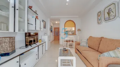 Apartment in Torrevieja photo 3