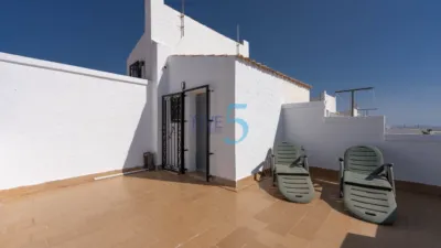 Chalet in Los Altos photo 21