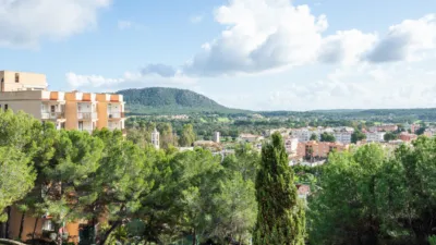 Apartment in Santa Ponça photo 10