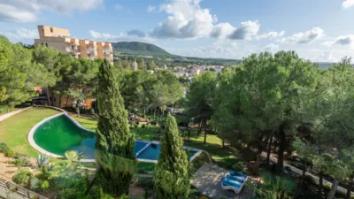 Apartment in Santa Ponça photo 12