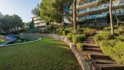 Apartment in Santa Ponça photo 30