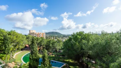 Apartment in Santa Ponça photo 8