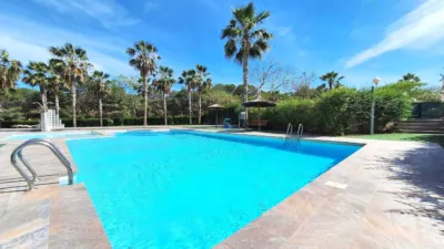 Pis – Guardamar del Segura, Urbanització Pinar de Guardamar - Vista 2
