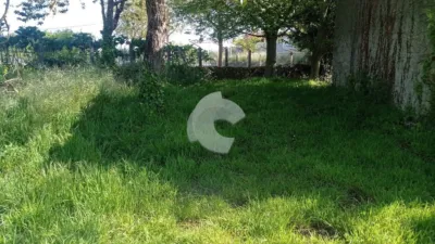 House in Merca photo 5