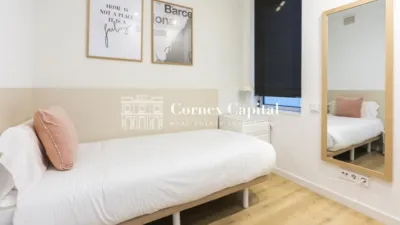 Apartment on Carrer de Bac de Roda photo 15
