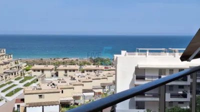 Apartment in Arenales del Sol photo 27