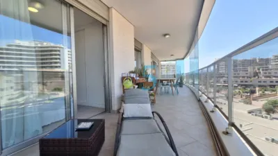 Apartment in Arenales del Sol photo 30
