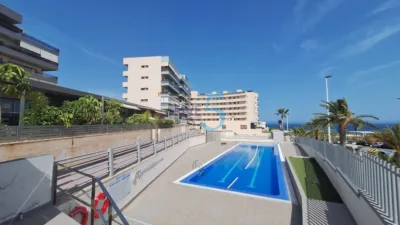 Apartment in Arenales del Sol photo 35