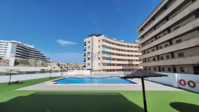 Apartment in Arenales del Sol photo 36
