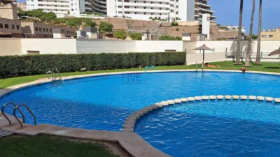 Apartment in Arenales del Sol photo 38