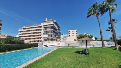 Apartment in Arenales del Sol photo 39