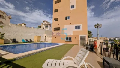 Pis – Orihuela - Vista 2