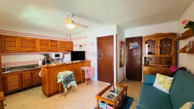 Apartment in Torrevieja photo 4