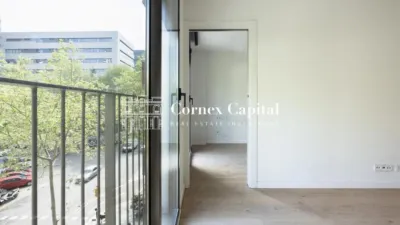 Apartment on Carrer de Bac de Roda photo 8