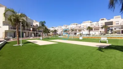 Apartment in El Raso photo 28