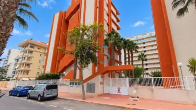 Pis – Guardamar del Segura - Vista 5