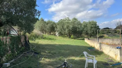 Apartment in Castellet i la Gornal photo 21