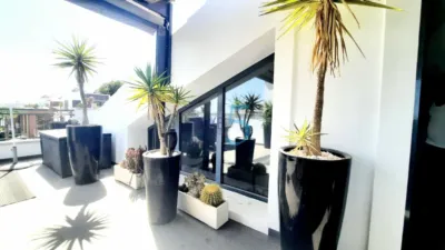 Apartment in Villamartin photo 26