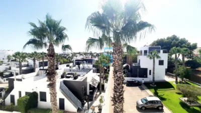Apartment in Villamartin photo 31