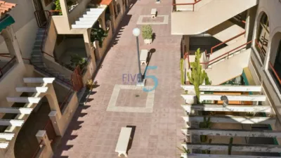 Apartment in Torrevieja photo 5