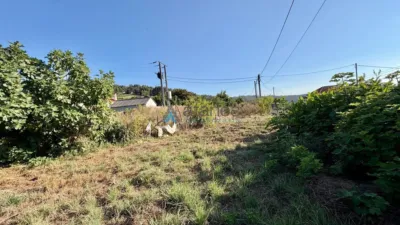 Casa – Carral, Beira - Vista 5