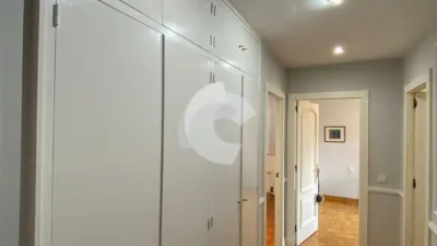 Apartment in O Pino photo 12