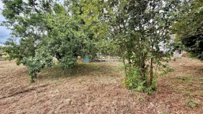 House in Pontedeume- Barro photo 15