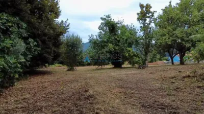 House in Pontedeume- Barro photo 19