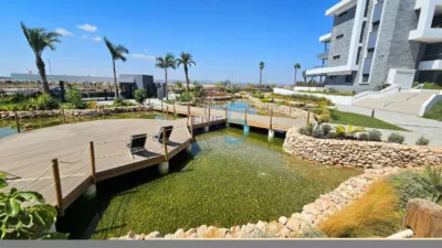 Piso – Torrevieja - Vista 4