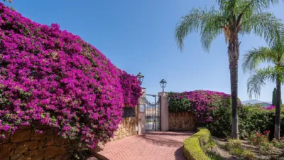 Apartment on Calle Ur Balcon de Benavista Ii Es:4 Pl:00 Pt:31 photo 10