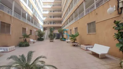 Apartment in Santa Pola photo 15