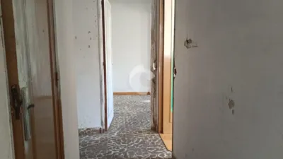 Apartment in Residencia photo 5