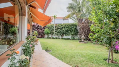 Chalet on Calle Trebol photo 34