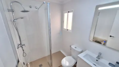 House in Playa Flamenca photo 21