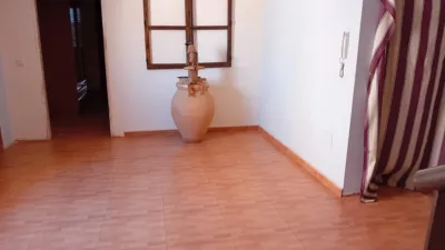 Miniatura 9