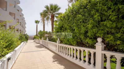 Apartment at Avenida Juan Carlos I, 43 photo 8