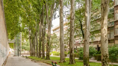 Apartment on Calle del Monasterio de Fitero, 1 photo 28