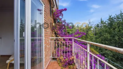 Chalet in Retiro photo 21