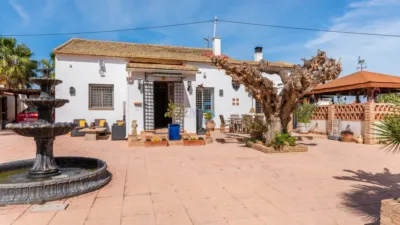 Casa – Daya Nueva - Més