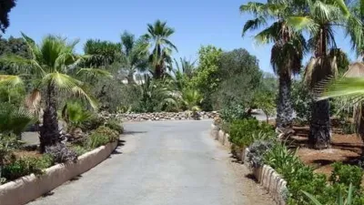 Rustic Finca in Centro photo 11