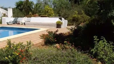 Rustic Finca in Centro photo 14