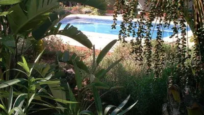Rustic Finca in Centro photo 15